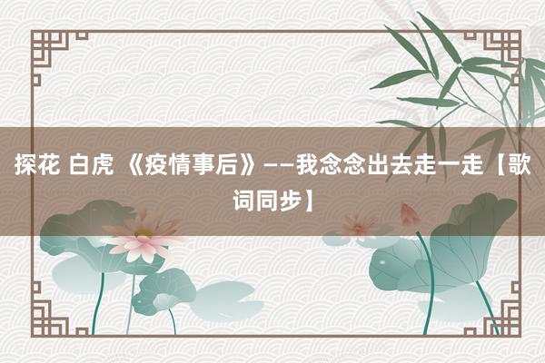 探花 白虎 《疫情事后》——我念念出去走一走【歌词同步】