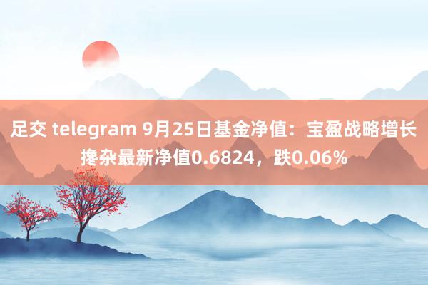 足交 telegram 9月25日基金净值：宝盈战略增长搀杂最新净值0.6824，跌0.06%