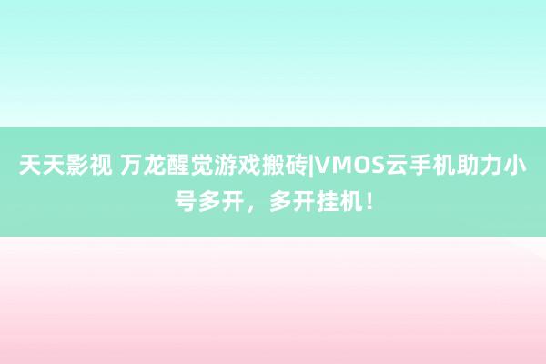 天天影视 万龙醒觉游戏搬砖|VMOS云手机助力小号多开，多开挂机！