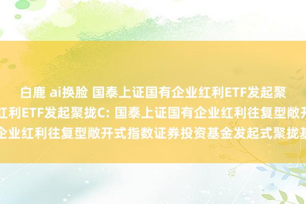 白鹿 ai换脸 国泰上证国有企业红利ETF发起聚拢A,国泰上证国有企业红利ETF发起聚拢C: 国泰上证国有企业红利往复型敞开式指数证券投资基金发起式聚拢基金分成公告