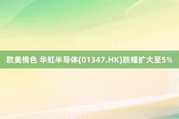 欧美情色 华虹半导体(01347.HK)跌幅扩大至5%