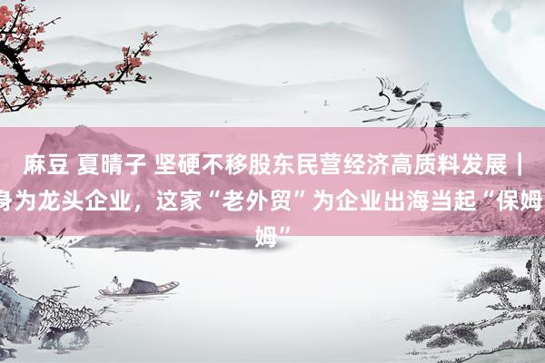 麻豆 夏晴子 坚硬不移股东民营经济高质料发展｜身为龙头企业，这家“老外贸”为企业出海当起“保姆”
