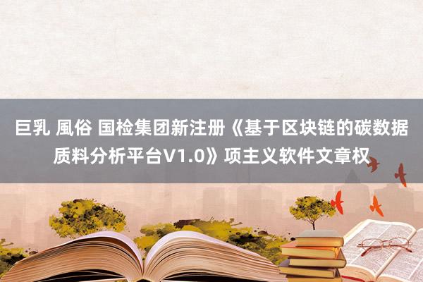 巨乳 風俗 国检集团新注册《基于区块链的碳数据质料分析平台V1.0》项主义软件文章权