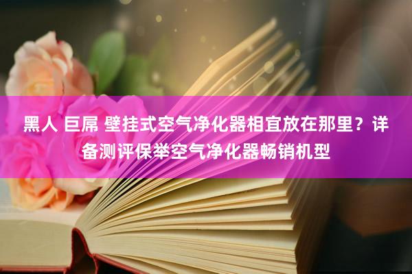 黑人 巨屌 壁挂式空气净化器相宜放在那里？详备测评保举空气净化器畅销机型