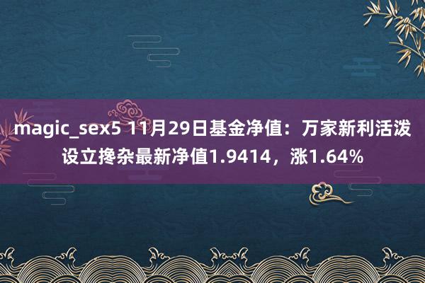 magic_sex5 11月29日基金净值：万家新利活泼设立搀杂最新净值1.9414，涨1.64%