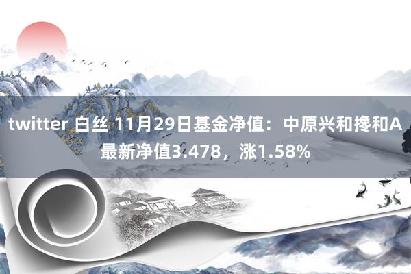 twitter 白丝 11月29日基金净值：中原兴和搀和A最新净值3.478，涨1.58%
