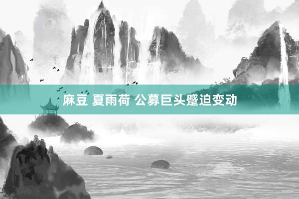 麻豆 夏雨荷 公募巨头蹙迫变动