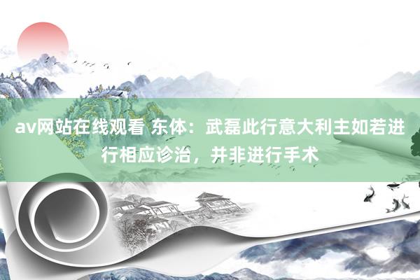 av网站在线观看 东体：武磊此行意大利主如若进行相应诊治，并非进行手术