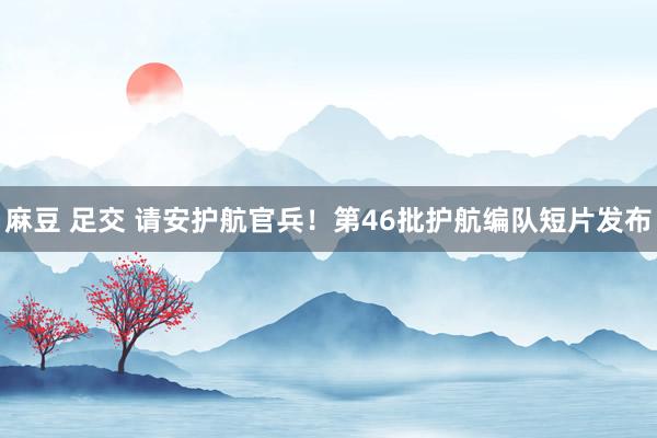 麻豆 足交 请安护航官兵！第46批护航编队短片发布