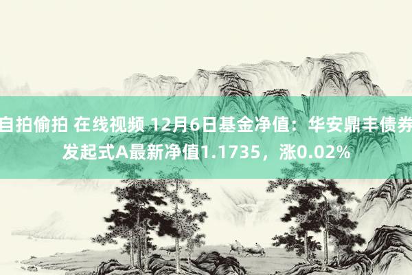自拍偷拍 在线视频 12月6日基金净值：华安鼎丰债券发起式A最新净值1.1735，涨0.02%