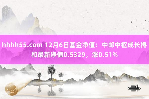 hhhh55.com 12月6日基金净值：中邮中枢成长搀和最新净值0.5329，涨0.51%