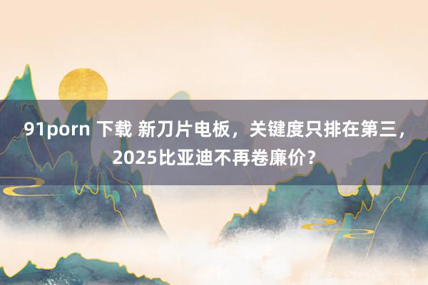 91porn 下载 新刀片电板，关键度只排在第三，2025比亚迪不再卷廉价？