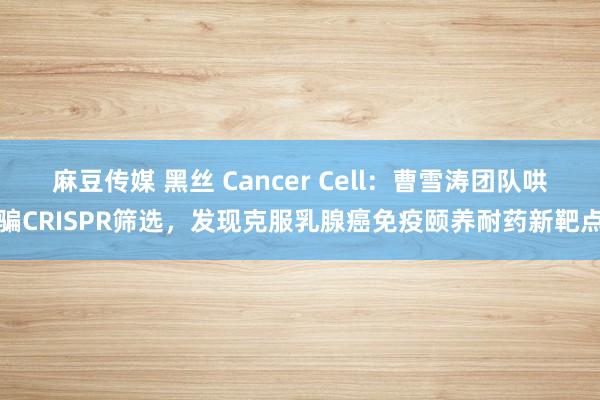 麻豆传媒 黑丝 Cancer Cell：曹雪涛团队哄骗CRISPR筛选，发现克服乳腺癌免疫颐养耐药新靶点