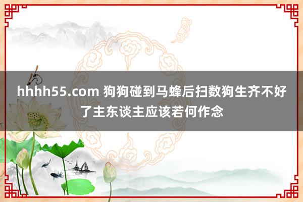 hhhh55.com 狗狗碰到马蜂后扫数狗生齐不好了主东谈主应该若何作念