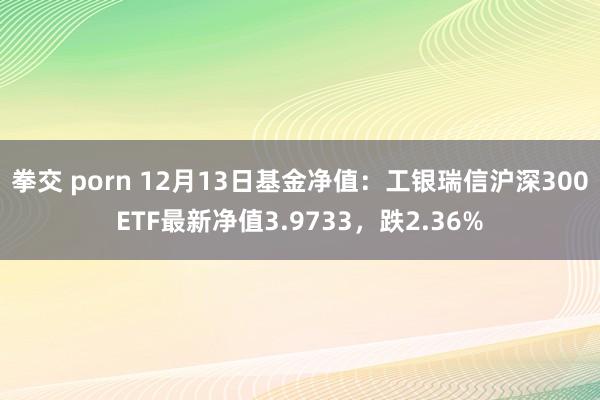 拳交 porn 12月13日基金净值：工银瑞信沪深300ETF最新净值3.9733，跌2.36%