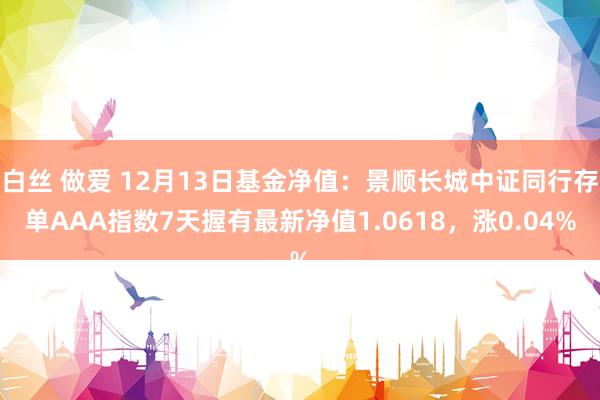 白丝 做爱 12月13日基金净值：景顺长城中证同行存单AAA指数7天握有最新净值1.0618，涨0.04%