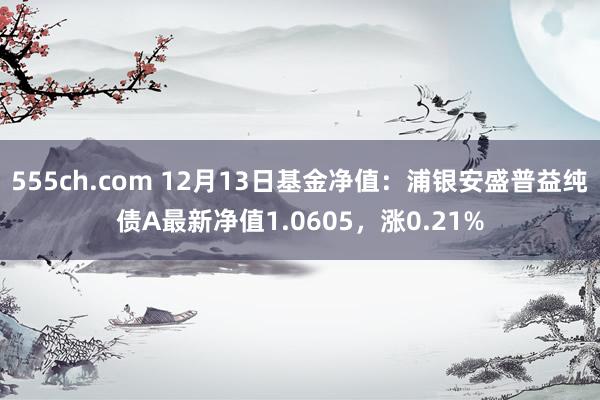 555ch.com 12月13日基金净值：浦银安盛普益纯债A最新净值1.0605，涨0.21%