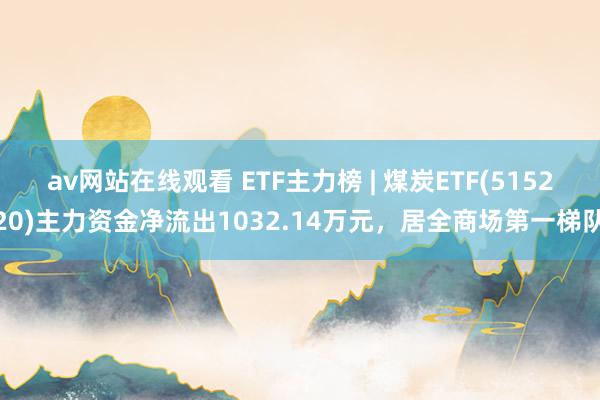 av网站在线观看 ETF主力榜 | 煤炭ETF(515220)主力资金净流出1032.14万元，居全商场第一梯队