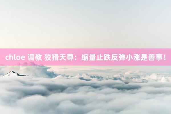 chloe 调教 狡猾天尊：缩量止跌反弹小涨是善事！