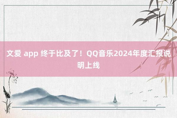 文爱 app 终于比及了！QQ音乐2024年度汇报说明上线
