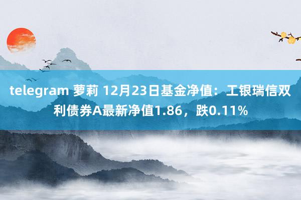 telegram 萝莉 12月23日基金净值：工银瑞信双利债券A最新净值1.86，跌0.11%