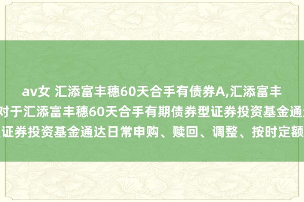 av女 汇添富丰穗60天合手有债券A,汇添富丰穗60天合手有债券C: 对于汇添富丰穗60天合手有期债券型证券投资基金通达日常申购、赎回、调整、按时定额投资业务公告