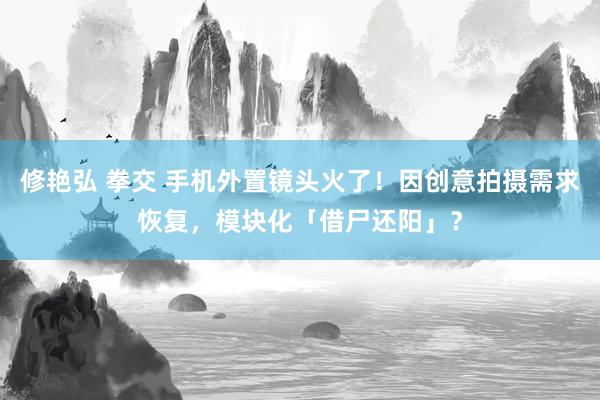 修艳弘 拳交 手机外置镜头火了！因创意拍摄需求恢复，模块化「借尸还阳」？
