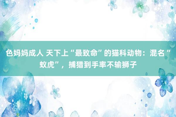 色妈妈成人 天下上“最致命”的猫科动物：混名“蚁虎”，捕猎到手率不输狮子