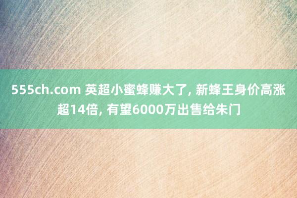 555ch.com 英超小蜜蜂赚大了, 新蜂王身价高涨超14倍, 有望6000万出售给朱门