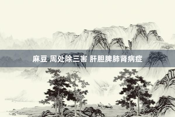 麻豆 周处除三害 肝胆脾肺肾病症