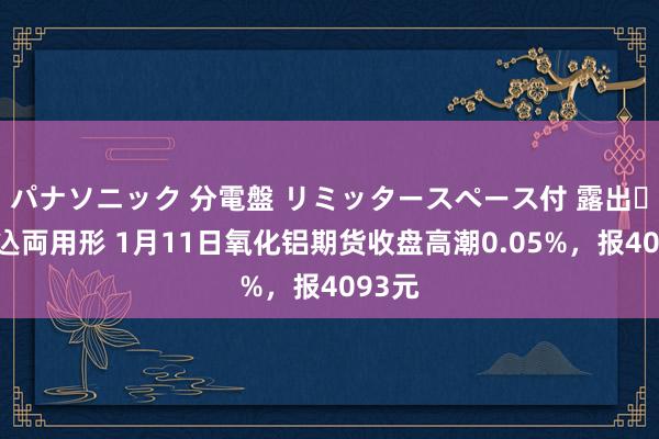 パナソニック 分電盤 リミッタースペース付 露出・半埋込両用形 1月11日氧化铝期货收盘高潮0.05%，报4093元