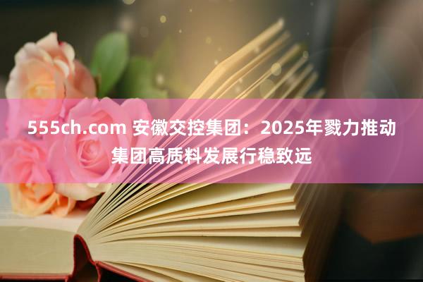 555ch.com 安徽交控集团：2025年戮力推动集团高质料发展行稳致远