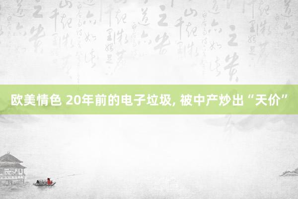 欧美情色 20年前的电子垃圾, 被中产炒出“天价”