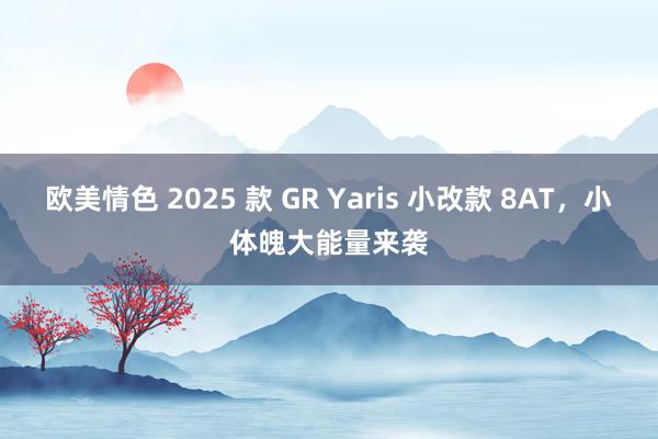 欧美情色 2025 款 GR Yaris 小改款 8AT，小体魄大能量来袭