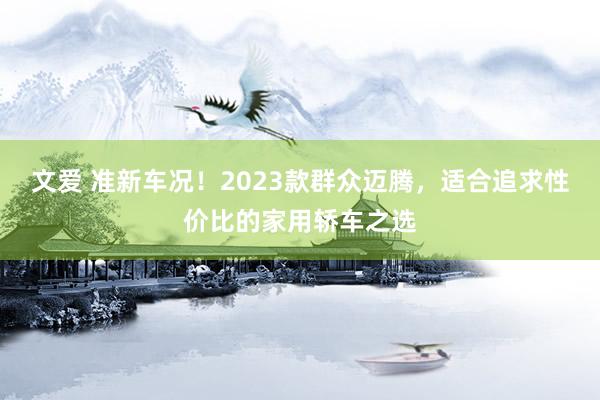 文爱 准新车况！2023款群众迈腾，适合追求性价比的家用轿车之选