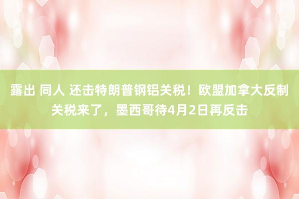 露出 同人 还击特朗普钢铝关税！欧盟加拿大反制关税来了，墨西哥待4月2日再反击