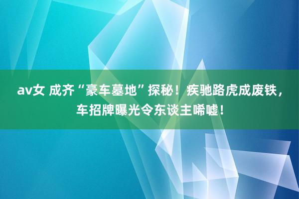 av女 成齐“豪车墓地”探秘！疾驰路虎成废铁，车招牌曝光令东谈主唏嘘！