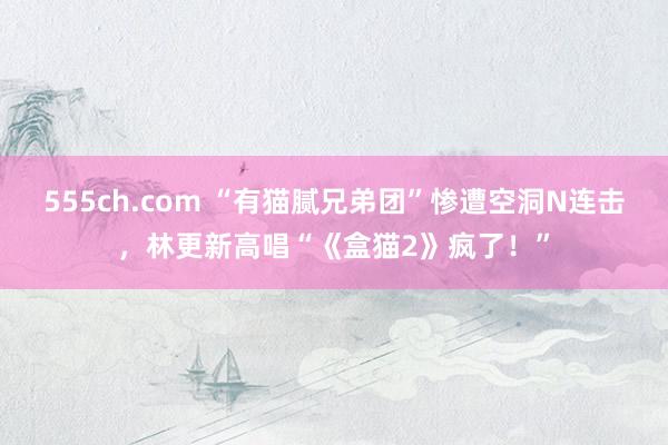 555ch.com “有猫腻兄弟团”惨遭空洞N连击，林更新高唱“《盒猫2》疯了！”
