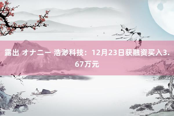 露出 オナニー 浩渺科技：12月23日获融资买入3.67万元