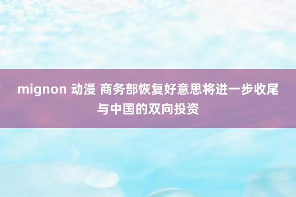 mignon 动漫 商务部恢复好意思将进一步收尾与中国的双向投资