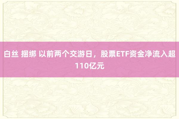 白丝 捆绑 以前两个交游日，股票ETF资金净流入超110亿元