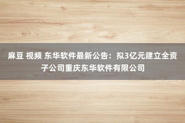 麻豆 视频 东华软件最新公告：拟3亿元建立全资子公司重庆东华软件有限公司