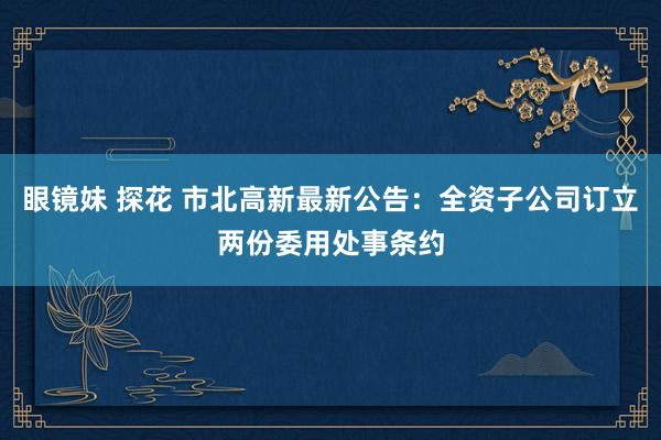 眼镜妹 探花 市北高新最新公告：全资子公司订立两份委用处事条约