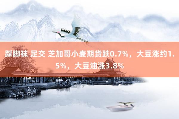 踩脚袜 足交 芝加哥小麦期货跌0.7%，大豆涨约1.5%，大豆油涨3.8%