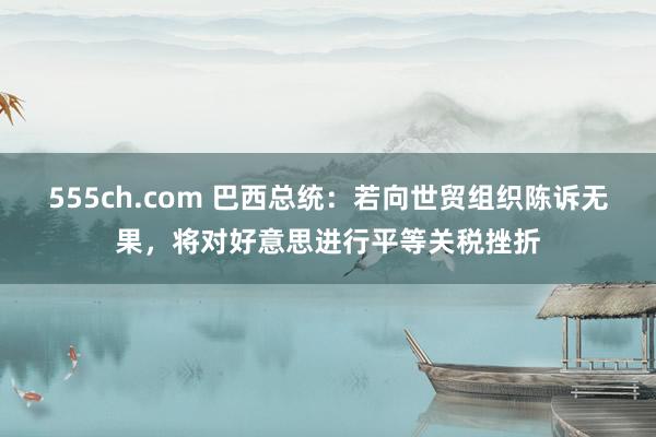 555ch.com 巴西总统：若向世贸组织陈诉无果，将对好意思进行平等关税挫折