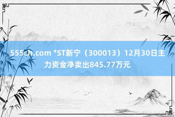 555ch.com *ST新宁（300013）12月30日主力资金净卖出845.77万元