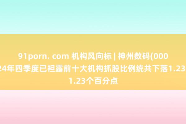91porn. com 机构风向标 | 神州数码(000034)2024年四季度已袒露前十大机构抓股比例统共下落1.23个百分点