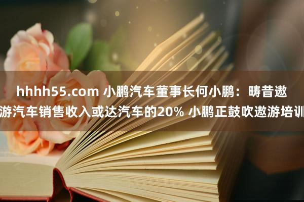 hhhh55.com 小鹏汽车董事长何小鹏：畴昔遨游汽车销售收入或达汽车的20% 小鹏正鼓吹遨游培训