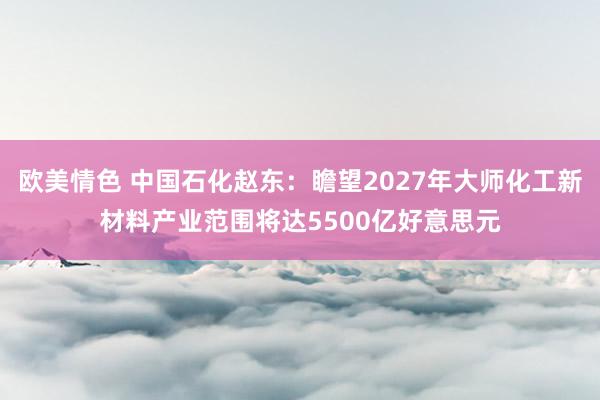 欧美情色 中国石化赵东：瞻望2027年大师化工新材料产业范围将达5500亿好意思元