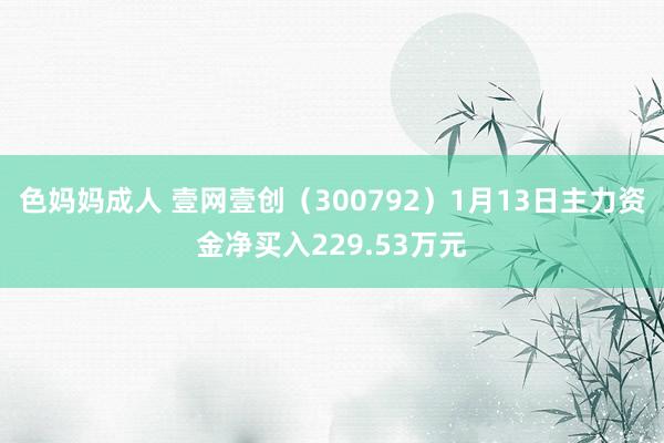 色妈妈成人 壹网壹创（300792）1月13日主力资金净买入229.53万元